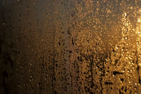 Condensation droplets on a window